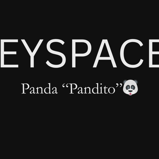 Schlüsselanhänger Panda gehäkelt 360 Grad Ansicht