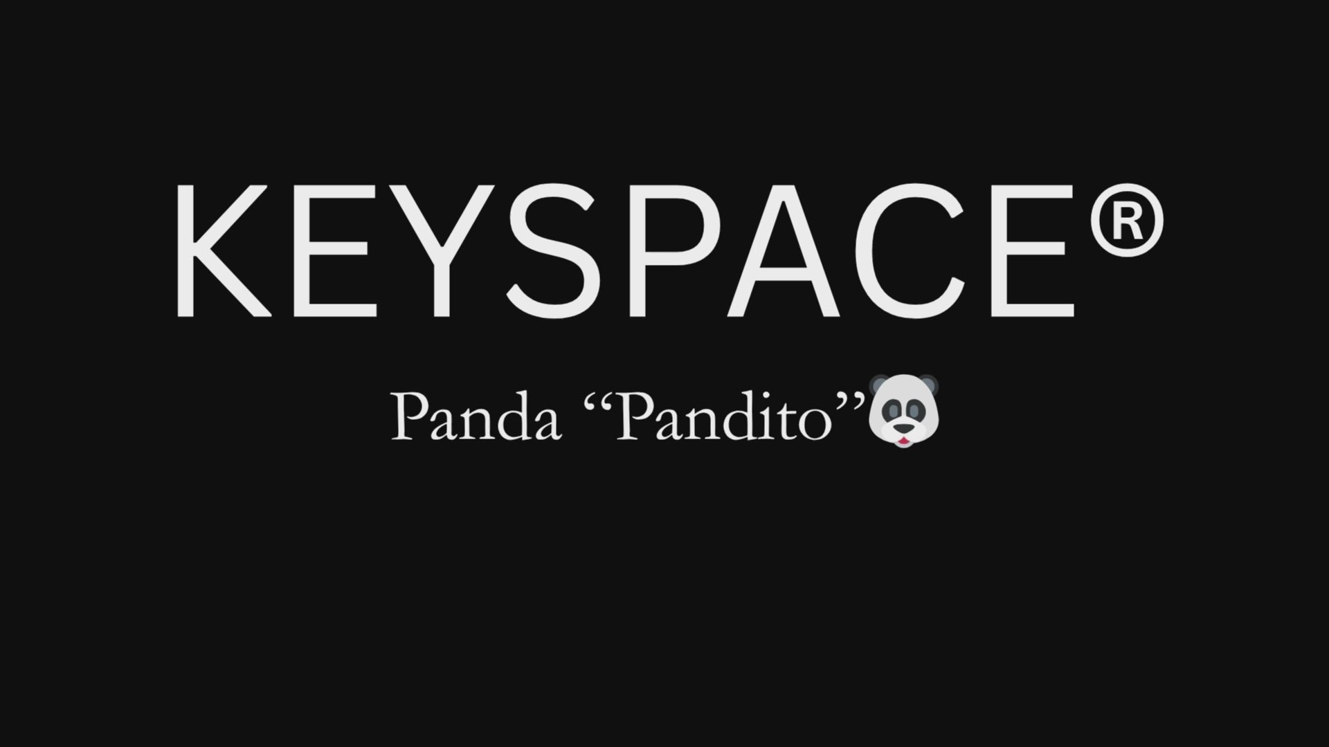 Schlüsselanhänger Panda gehäkelt 360 Grad Ansicht