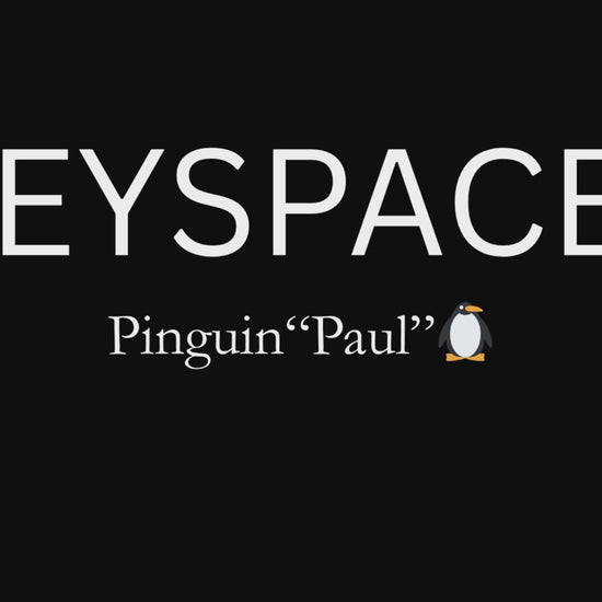 Schlüsselanhänger Pinguin gehäkelt 360 Grad Ansicht