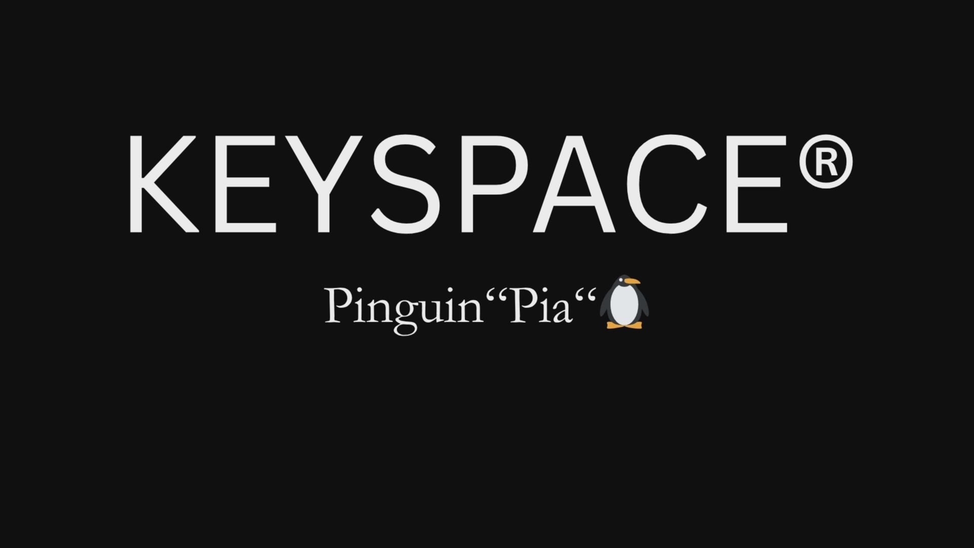 Schlüsselanhänger Pinguin gehäkelt 360 Grad Ansicht