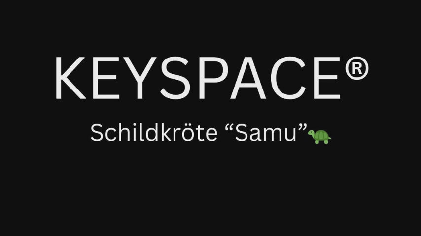 Schlüsselanhänger Schildkröte gehäkelt 360 Grad Ansicht