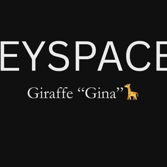 Schlüsselanhänger Giraffe gehäkelt 360 Grad Ansicht