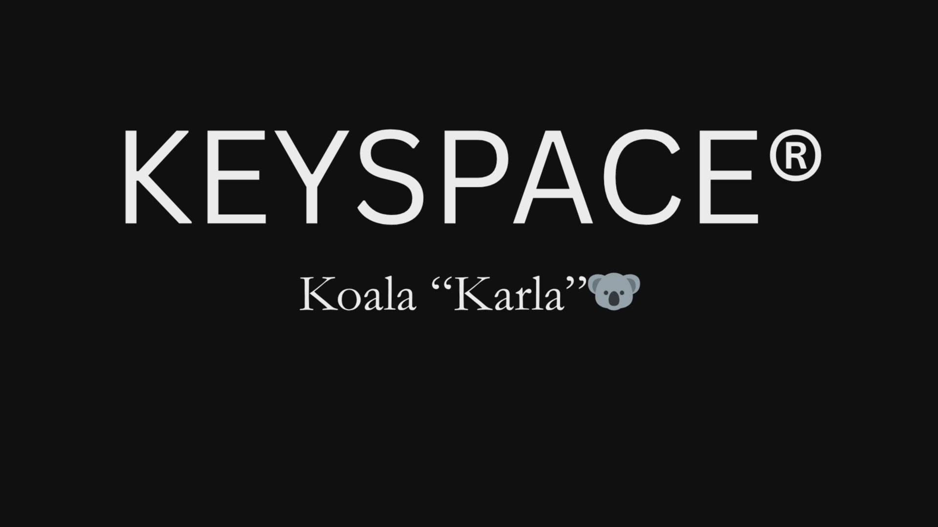 Schlüsselanhänger Koala gehäkelt 360 Grad Ansicht